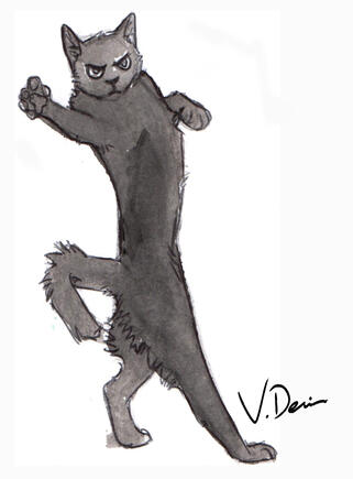 Dancing Cat