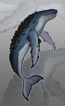 Boulderback Whale