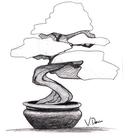Bonsai Tree
