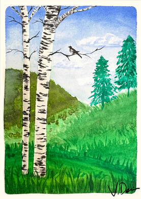 Birch Trees